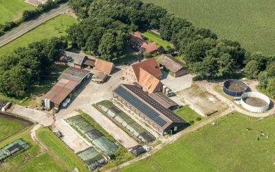 Aktuelles Nr. 2