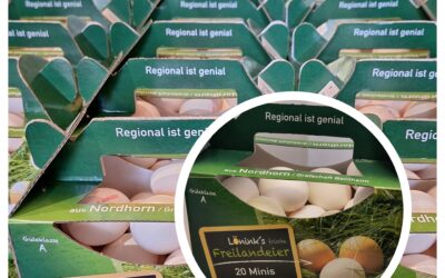 Junghenneneier in der 20er Box